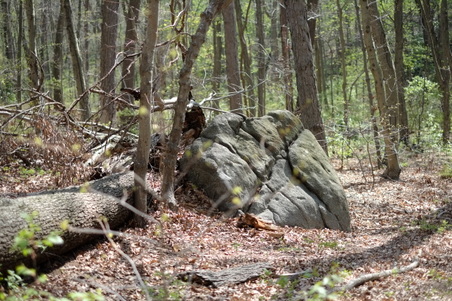 Enlarge photo 15