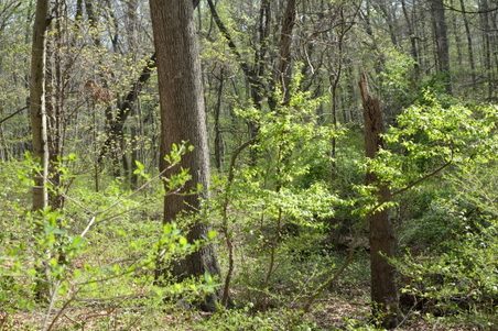 Enlarge photo 17