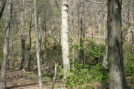 Enlarge photo 18