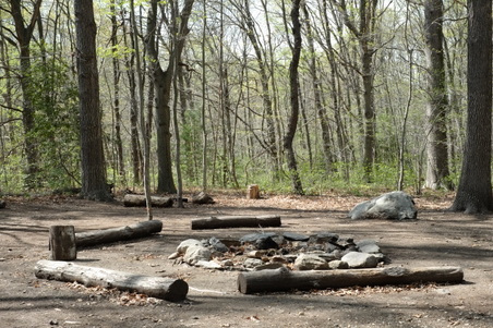 Enlarge photo 2