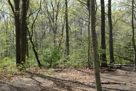 Enlarge photo 3