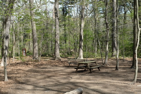Enlarge photo 7