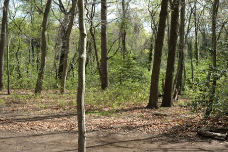 Enlarge photo 8