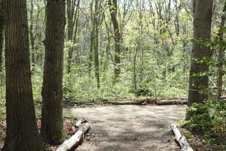 Enlarge photo 9