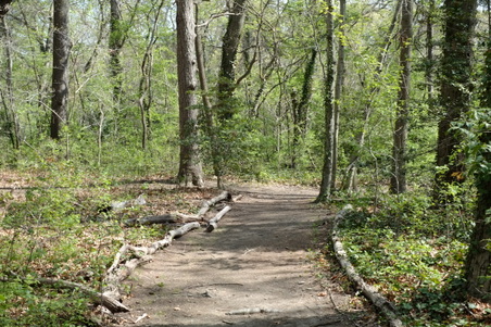 Enlarge photo 11