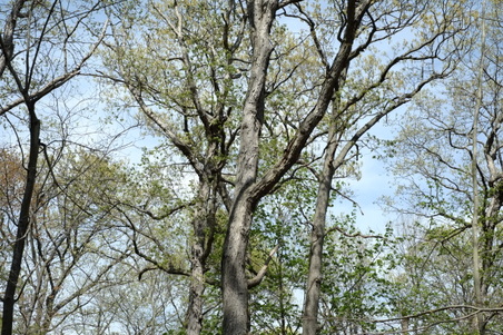 Enlarge photo 12