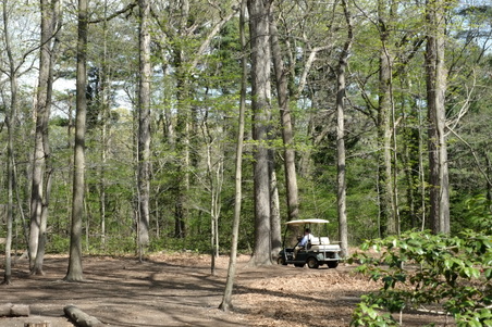 Enlarge photo 13