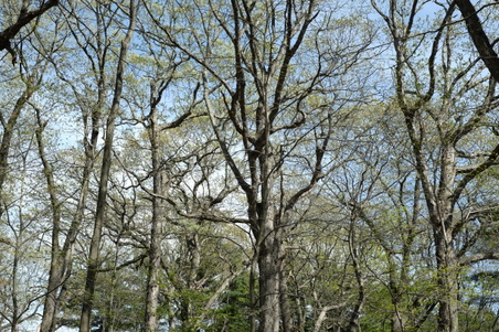 Enlarge photo 14