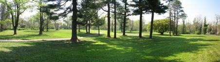 Enlarge photo 7