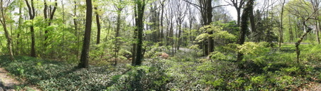 Enlarge photo 14