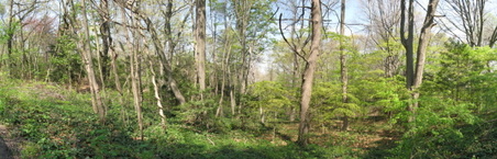 Enlarge photo 13
