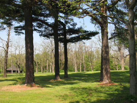 Enlarge photo 3