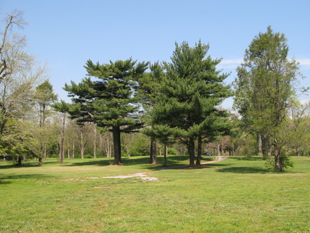 Enlarge photo 4