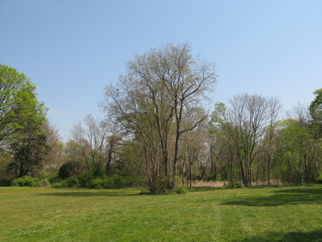 Enlarge photo 5