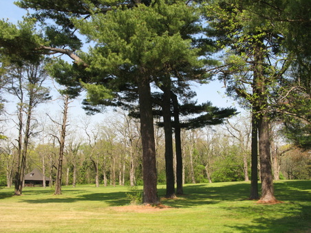 Enlarge photo 8