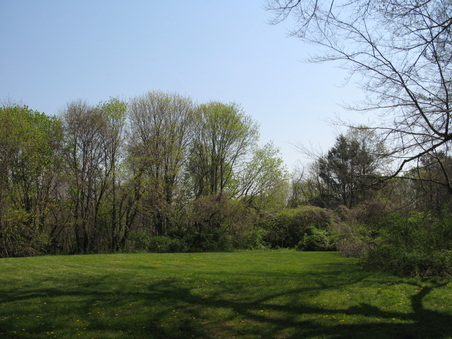 Enlarge photo 11