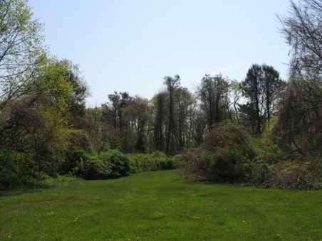 Enlarge photo 12
