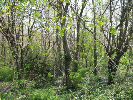 Enlarge photo 15