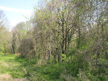 Enlarge photo 16