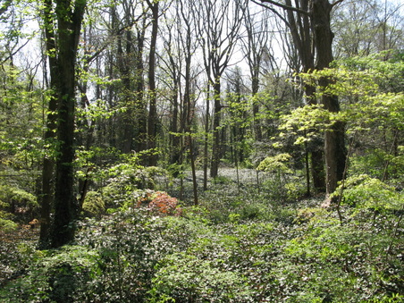 Enlarge photo 17