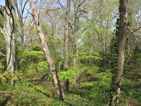 Enlarge photo 18
