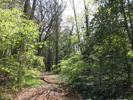 Enlarge photo 20