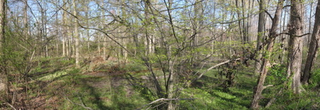 Enlarge photo 46