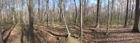 Enlarge photo 44