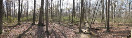 Enlarge photo 45