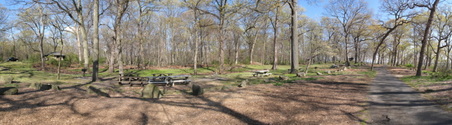 Enlarge photo 42