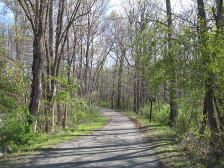 Enlarge photo 40