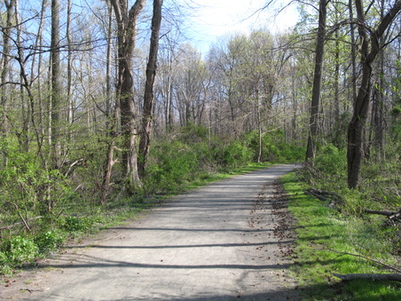 Enlarge photo 36