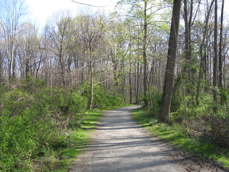 Enlarge photo 34