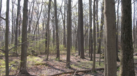Enlarge photo 33