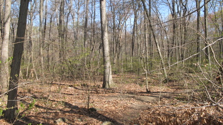 Enlarge photo 29