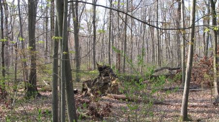 Enlarge photo 26