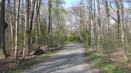 Enlarge photo 25