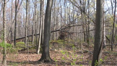 Enlarge photo 22