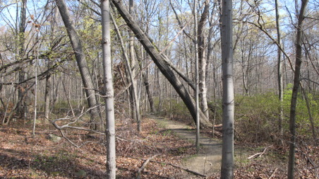 Enlarge photo 23