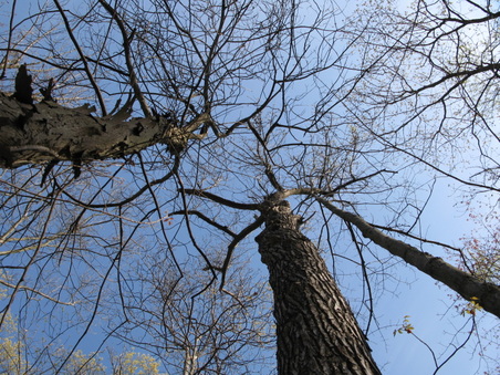 Enlarge photo 18
