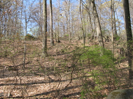 Enlarge photo 14