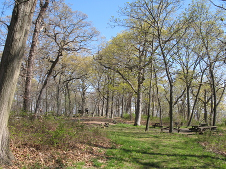 Enlarge photo 7