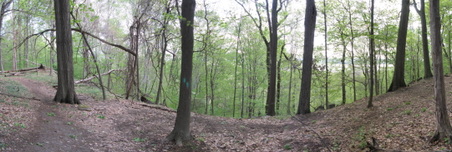 Enlarge photo 13