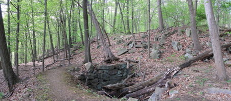 Enlarge photo 16