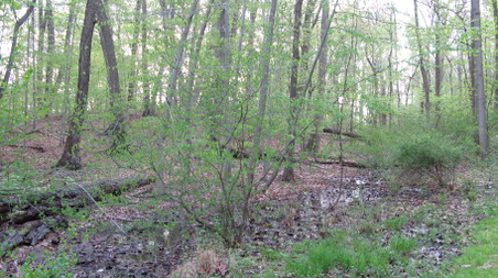 Enlarge photo 8