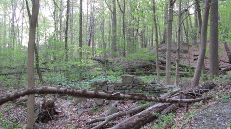 Enlarge photo 9