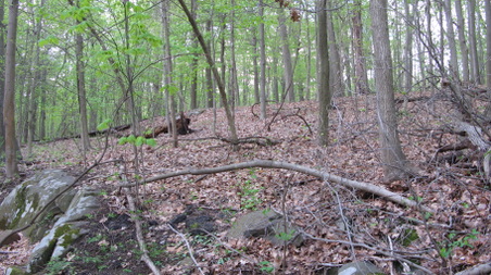 Enlarge photo 10