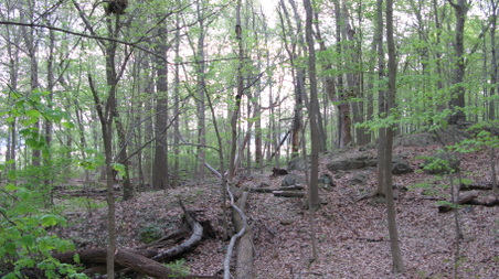 Enlarge photo 11