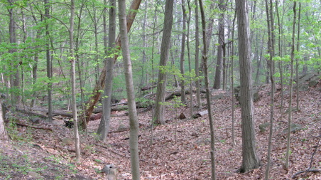 Enlarge photo 12