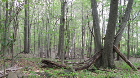 Enlarge photo 17